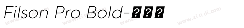 Filson Pro Bold字体转换